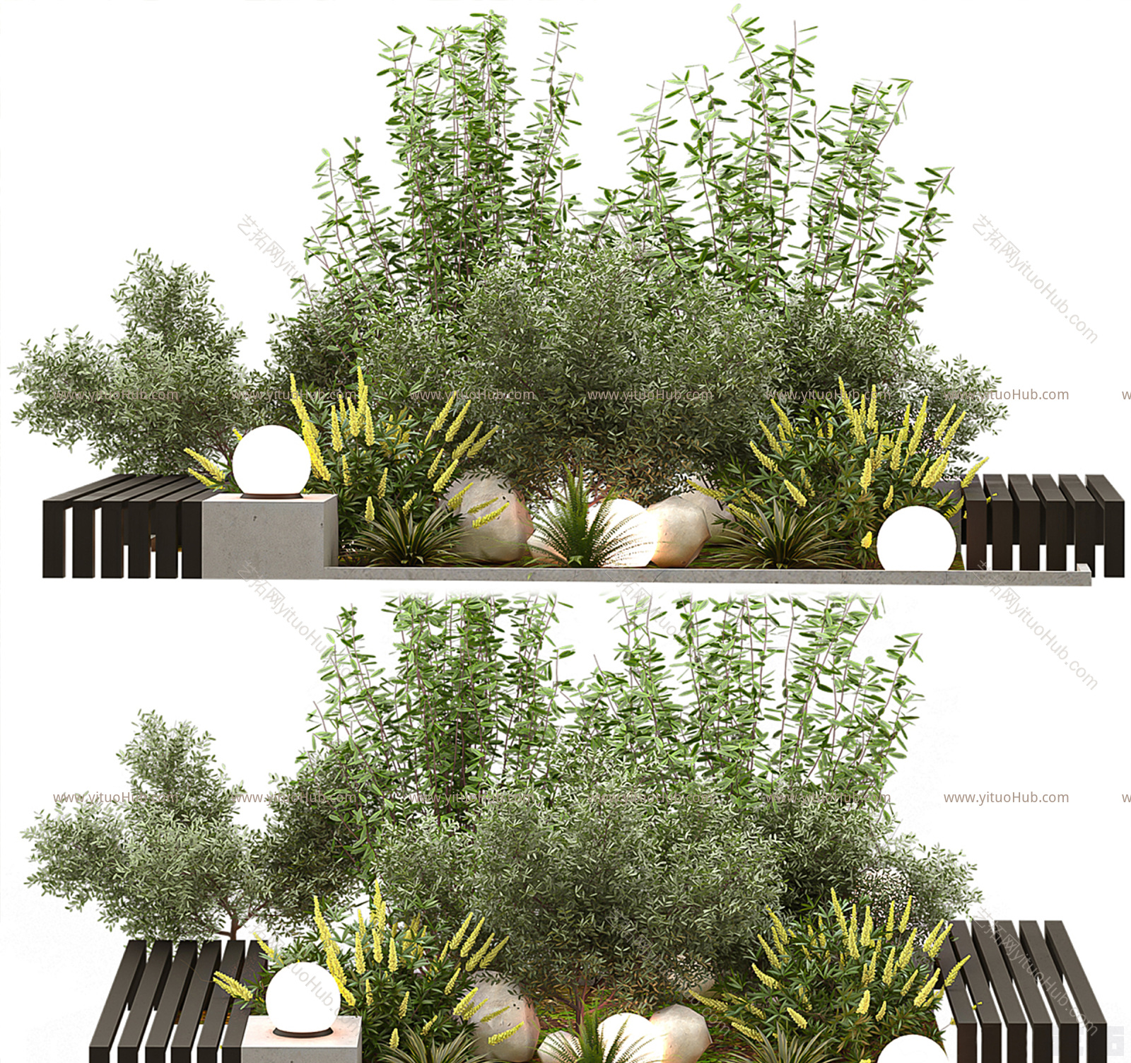 现代植物景观 植物造景