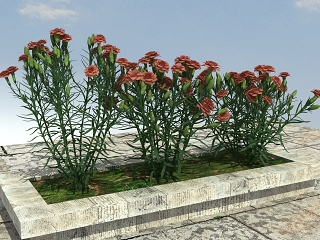 中式+开花植物
