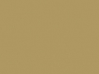 皮革常用皮革皮纹理 0428皮纹理 0428