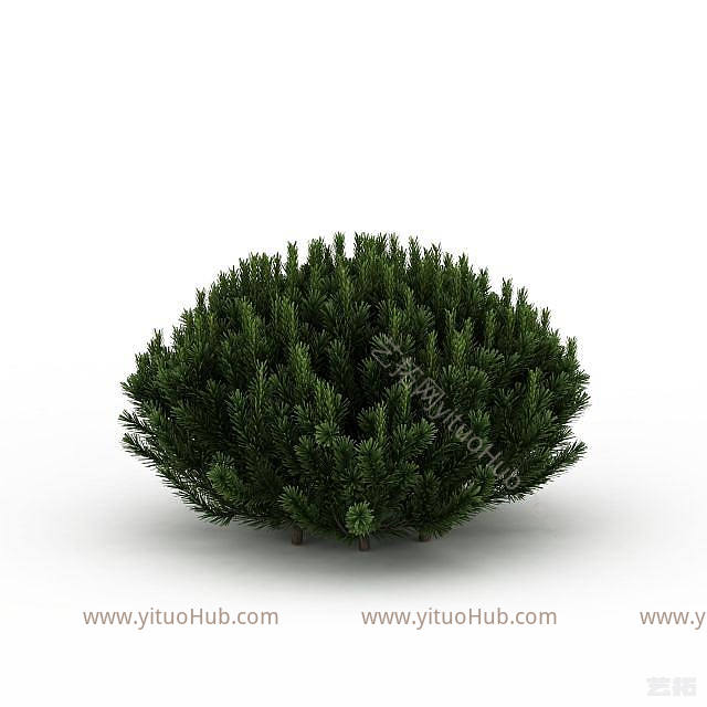 现代常青植被模型