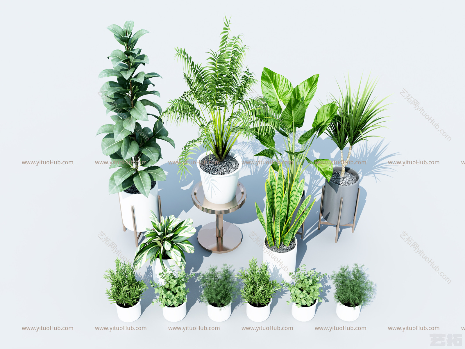 现代绿植盆栽