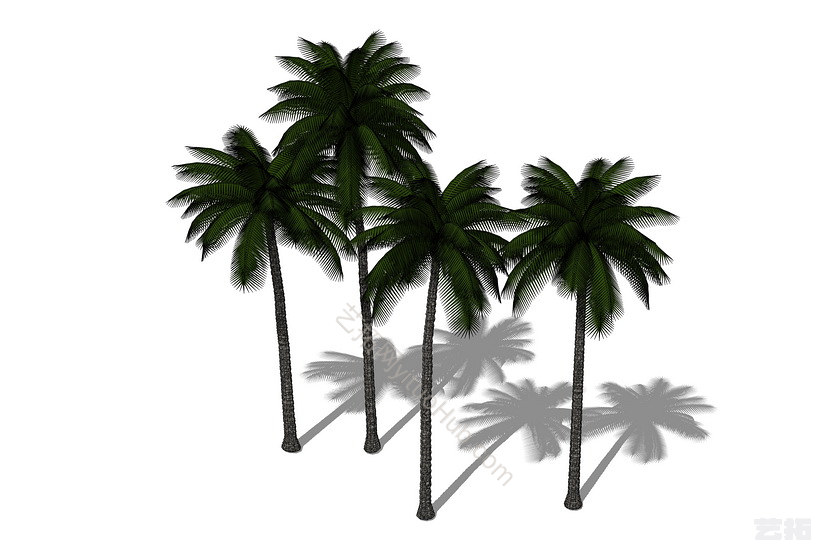 3D植物树