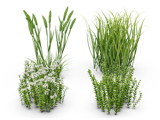 现代花草组合