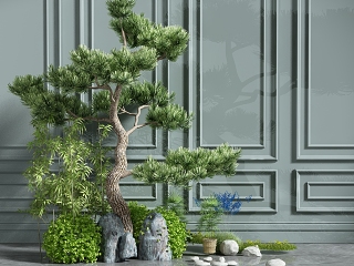 现代绿植组合