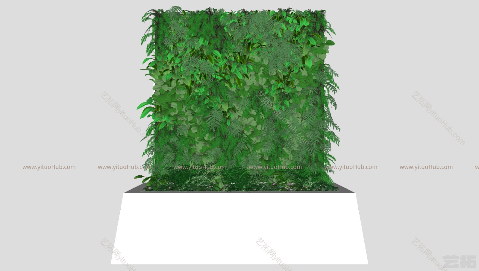 现代植物 装饰植物 绿植墙   