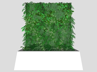 现代植物 装饰植物 绿植墙   