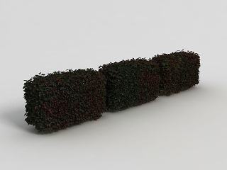 现代灌木模型