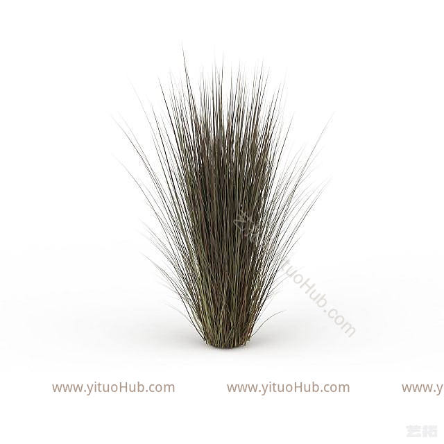 现代枯草模型