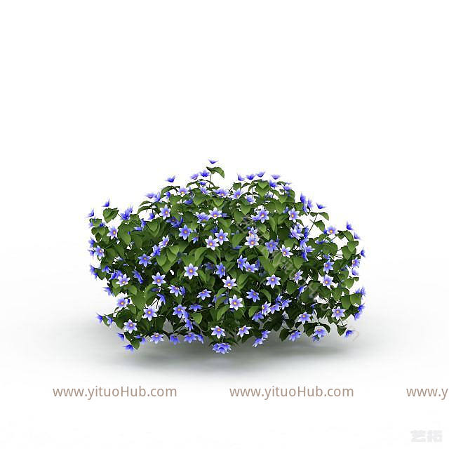 现代植物花草模型