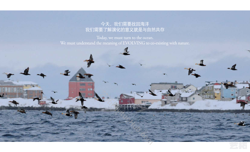 AECOM·烟台经济技术开发区海滨地区景观设计及海滨路规划
