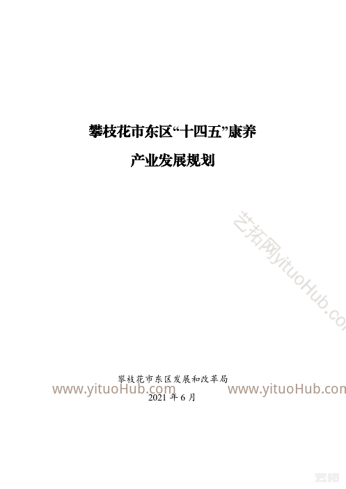 攀枝花市东区“十四五”康养 产业发展规划