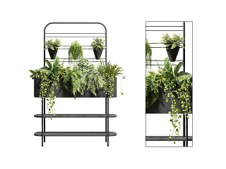 现代盆栽 植物堆 灌木