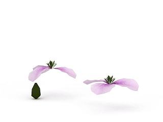现代紫色花模型