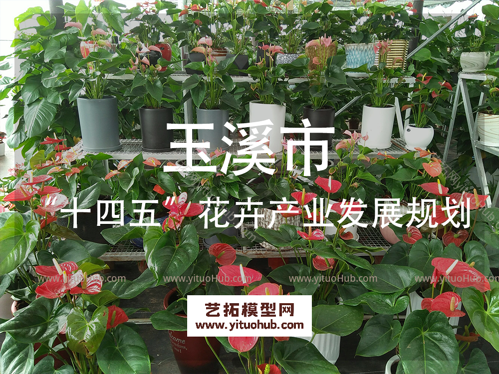 玉溪市“十四五”花卉产业发展规划