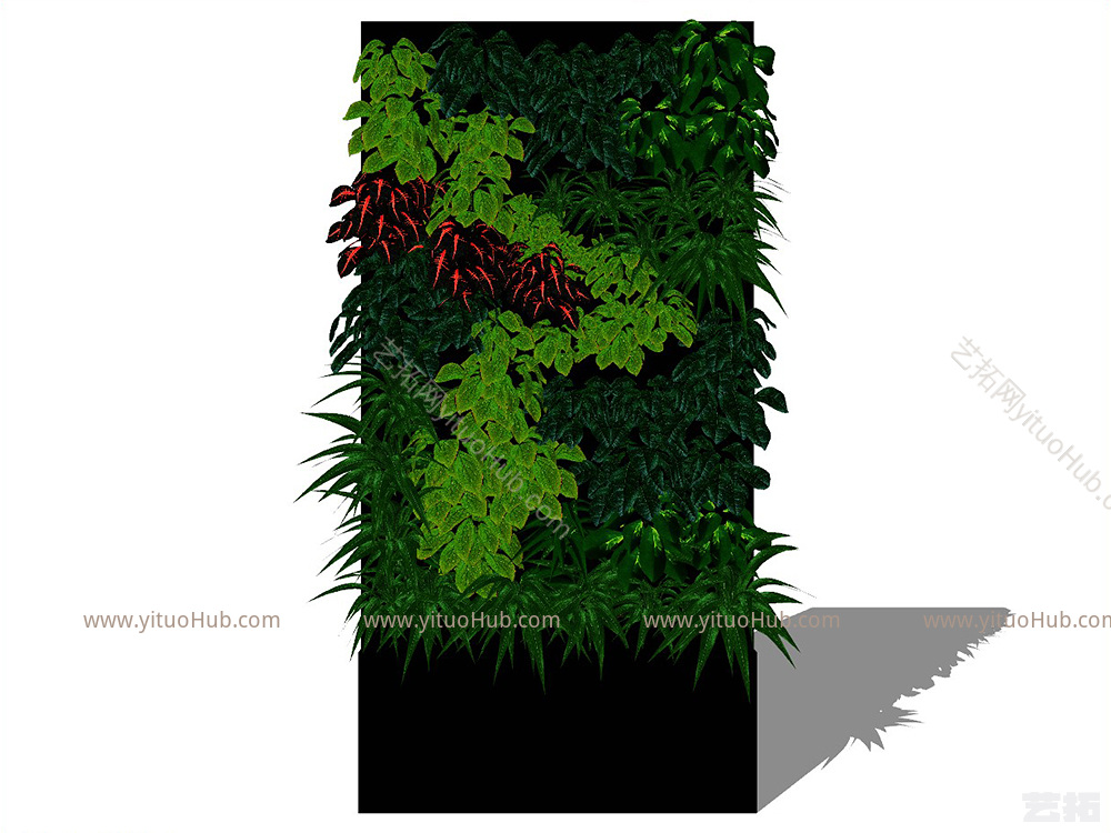 绿植架绿植墙