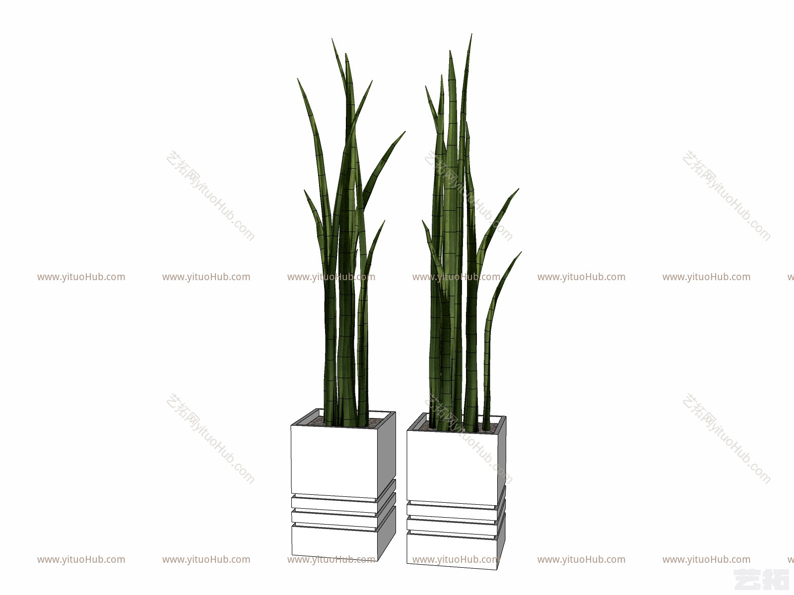 现代植物盆栽草图大师