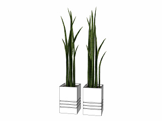 现代植物盆栽草图大师