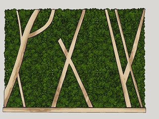绿植墙 植物墙