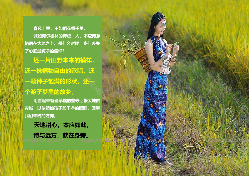 湖南株洲皇图岭农业产业园总体发展规划