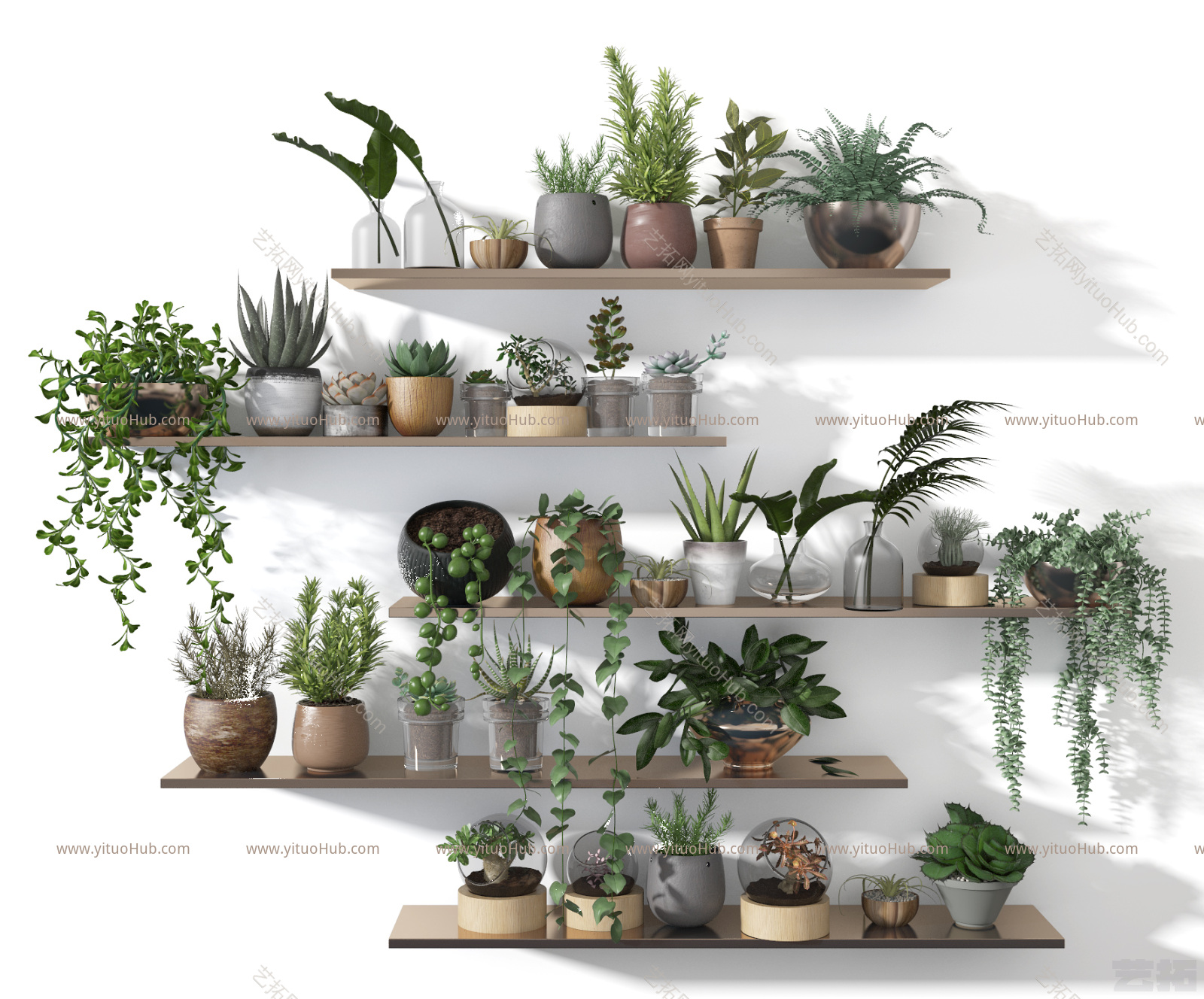 现代植物盆栽
