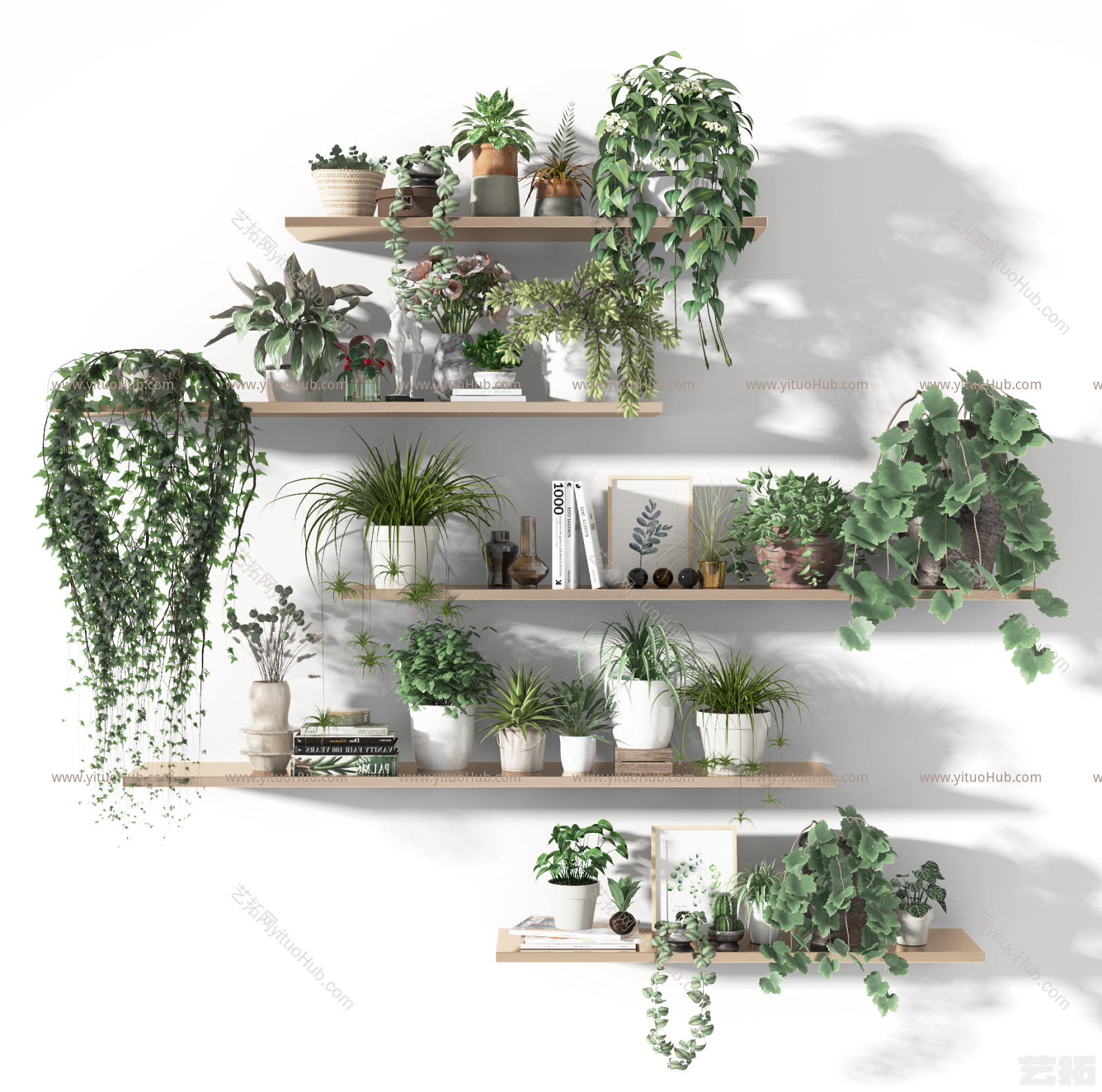 现代盆栽 盆景 植物