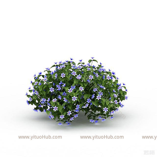 现代植物花草模型