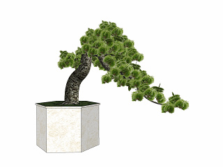 现代植物盆栽草图大师