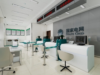 现代国家电网