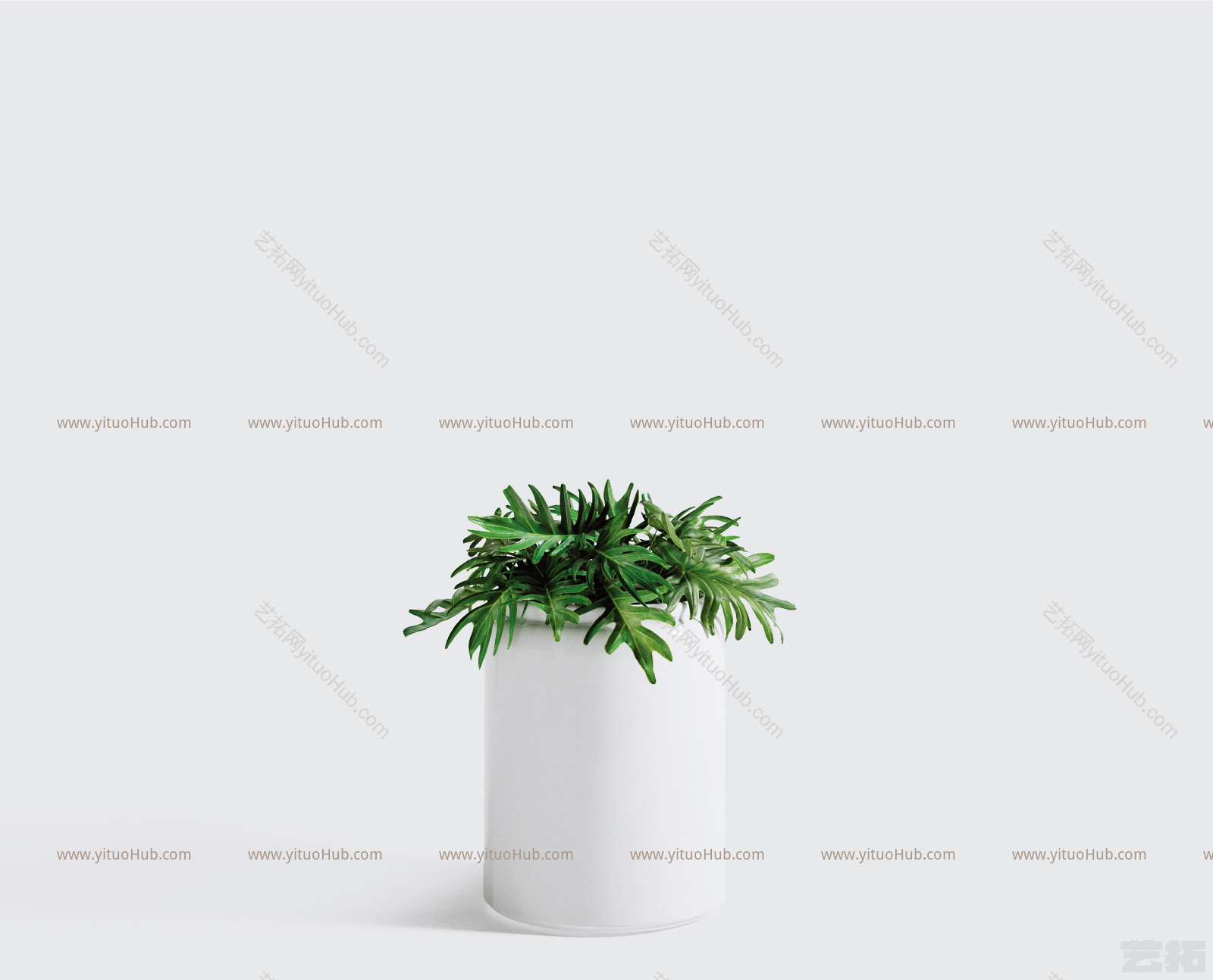 现代风格植物盆栽