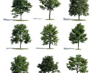 3d精细模型树室外 湖 画 指示牌 其他
