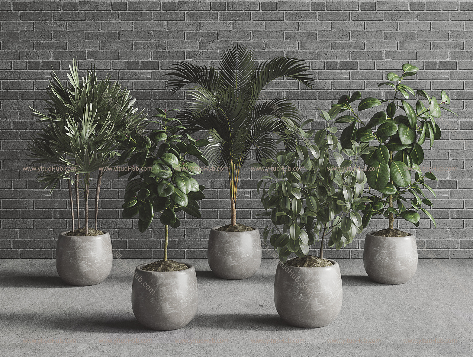 现代植物盆栽组合