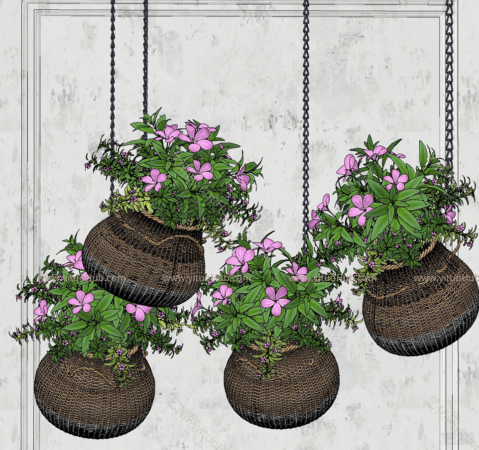 现代藤编吊篮植物盆栽