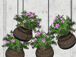 现代藤编吊篮植物盆栽