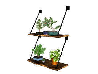 现代植物盆栽草图大师