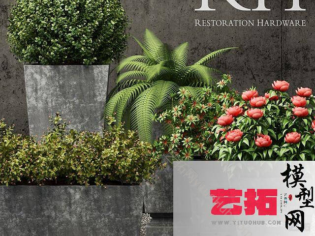 现代植物组合