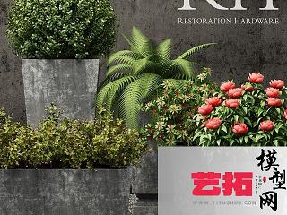 现代植物组合