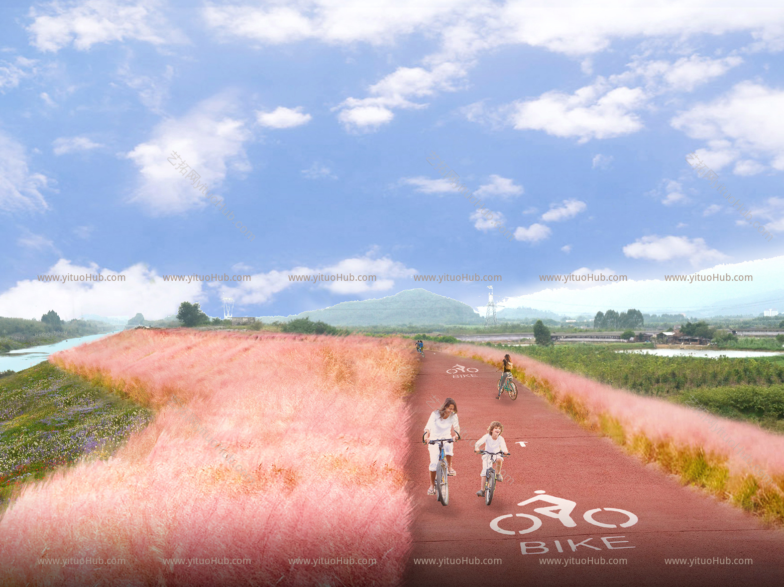 道路绿化提升效果图