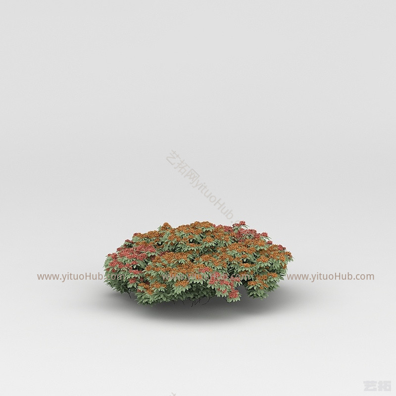现代植物花草绿植模型