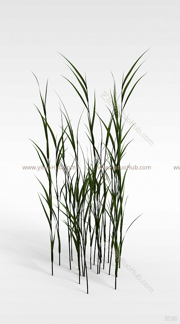 现代花草绿植模型