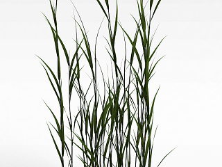 现代花草绿植模型