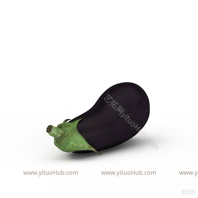现代紫茄子模型