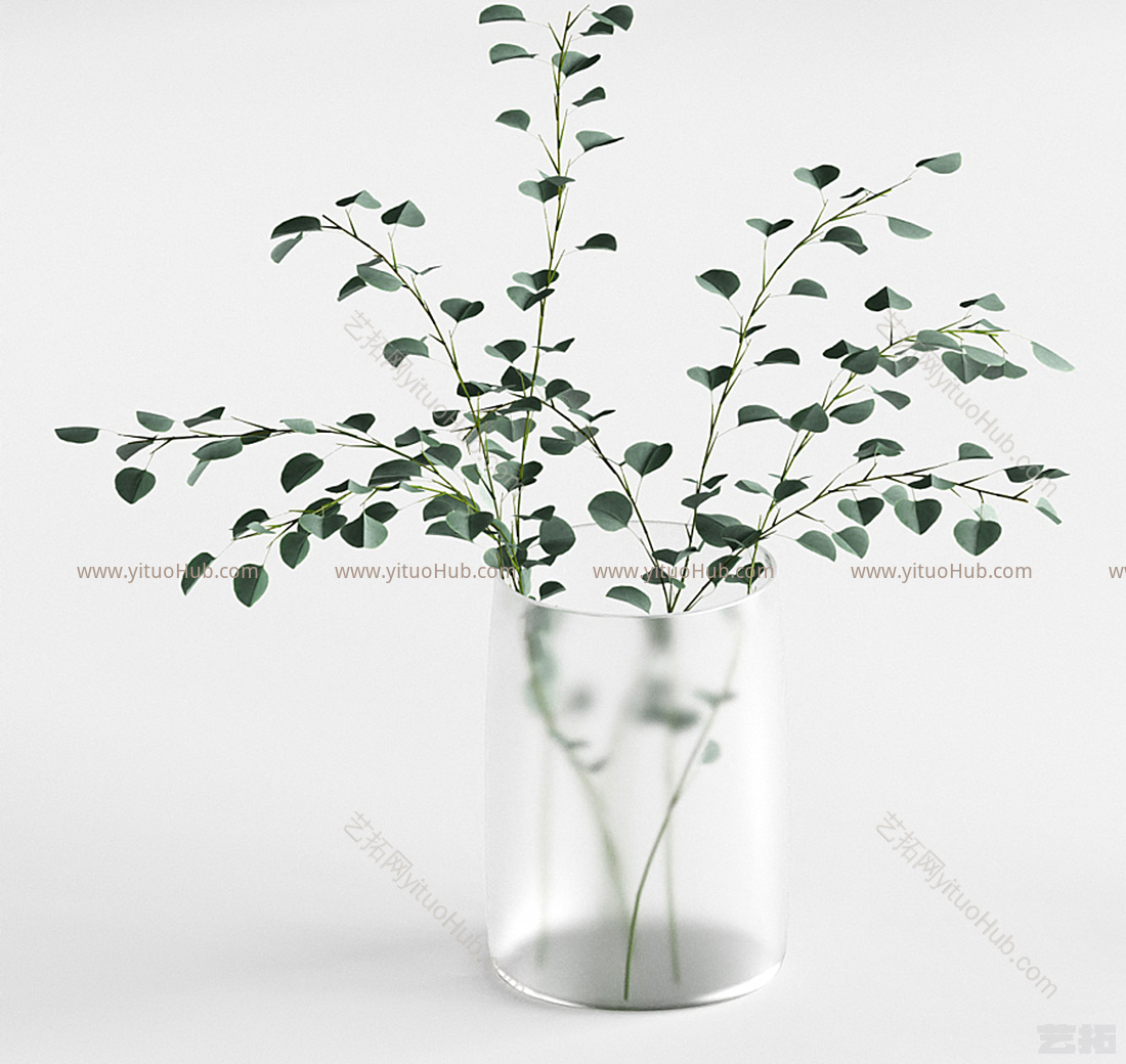 现代水生植物