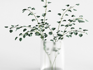 现代水生植物