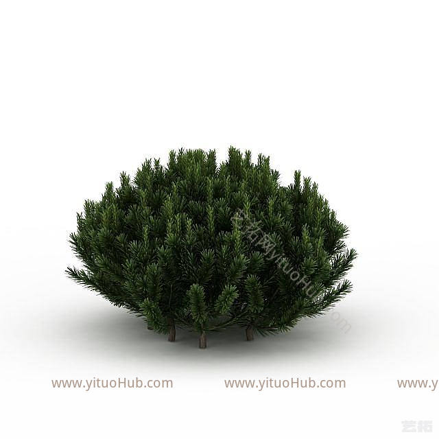 现代常青植被模型