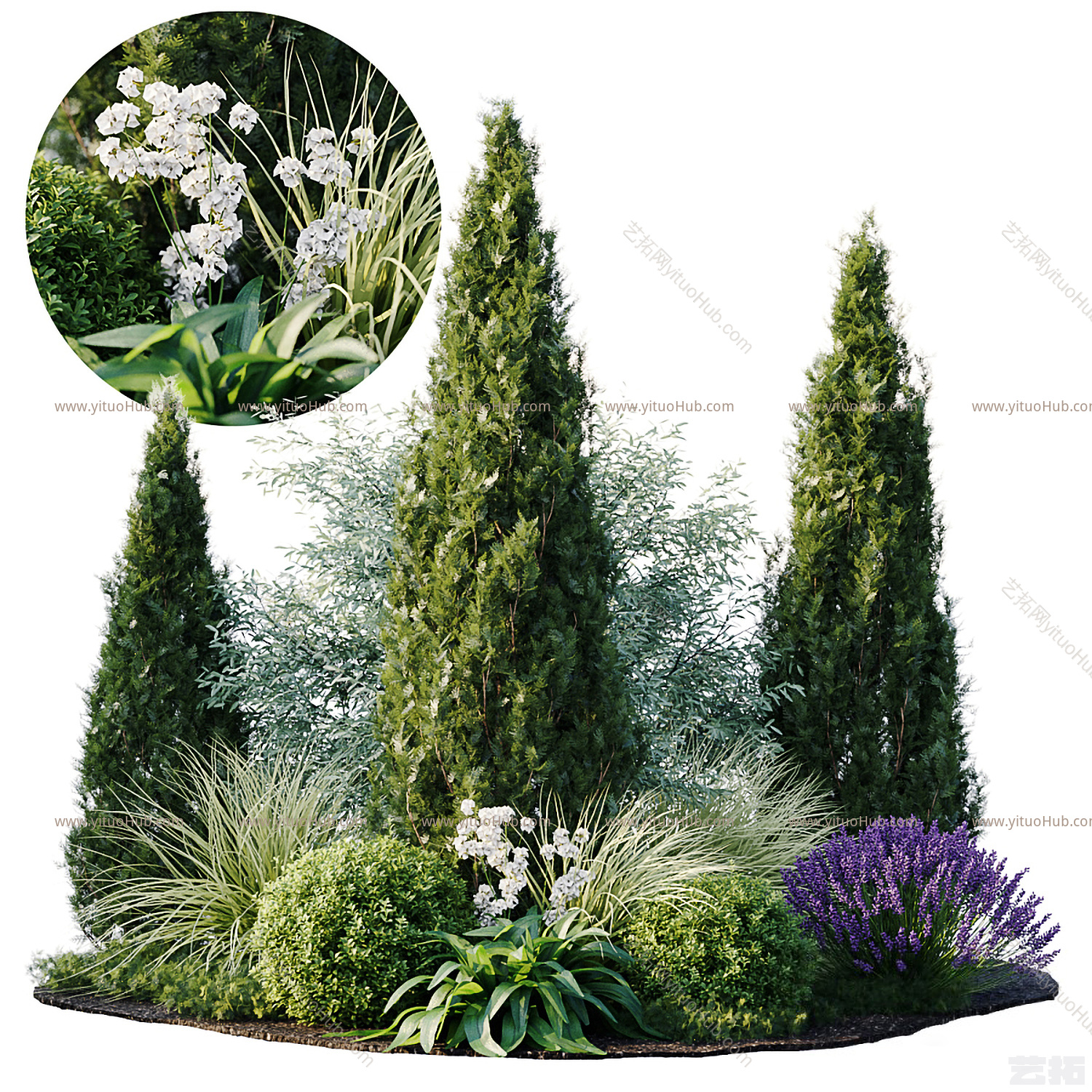 植物堆 花丛