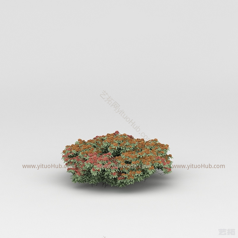 现代植物花草绿植模型