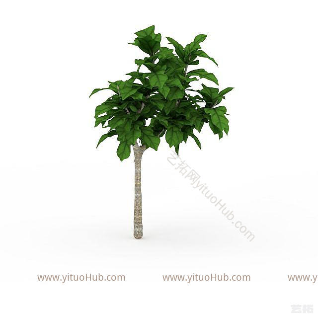 现代景观绿植模型