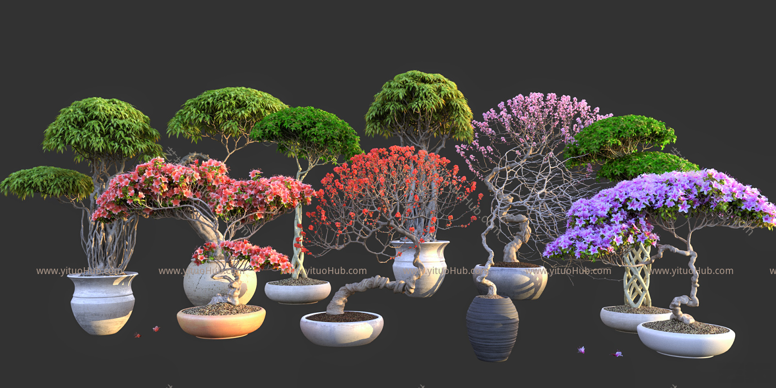 现代盆栽 盆景3d