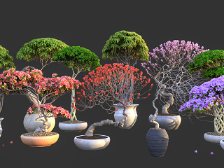 现代盆栽 盆景3d