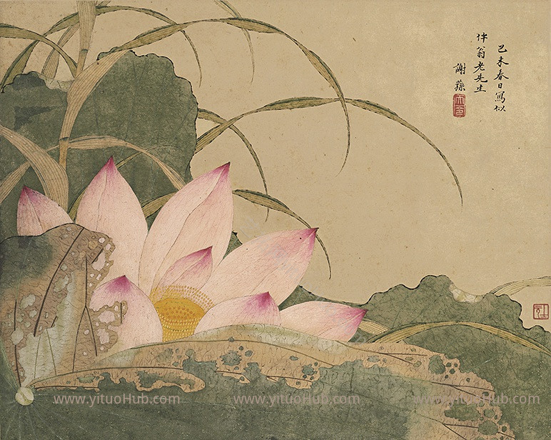中式花鸟画贴图